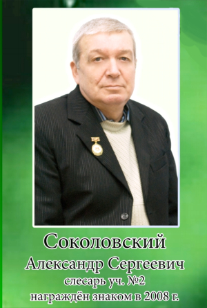 2008 sokolovskii